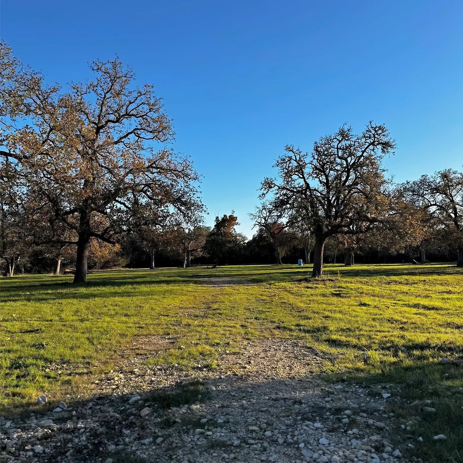 Oaks over the meadow at 244 Buckskin Pass